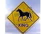 AAA-Horse crossing